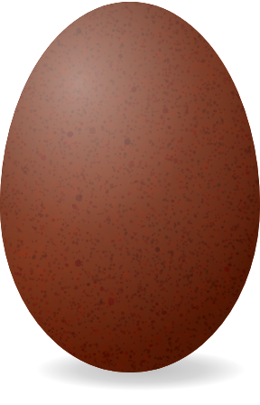 Dark brown speckled Black Copper Marans egg