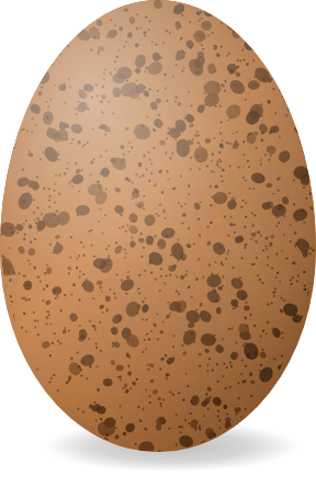 Warm brown speckled Welsummer egg